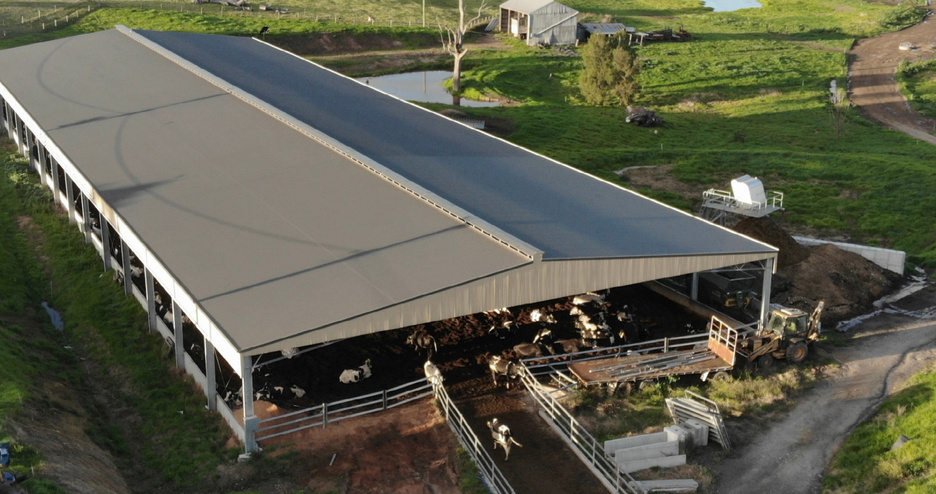 Dairy shed